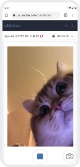 how the video stream works